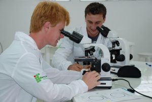 concordia-laboratorio de histologia